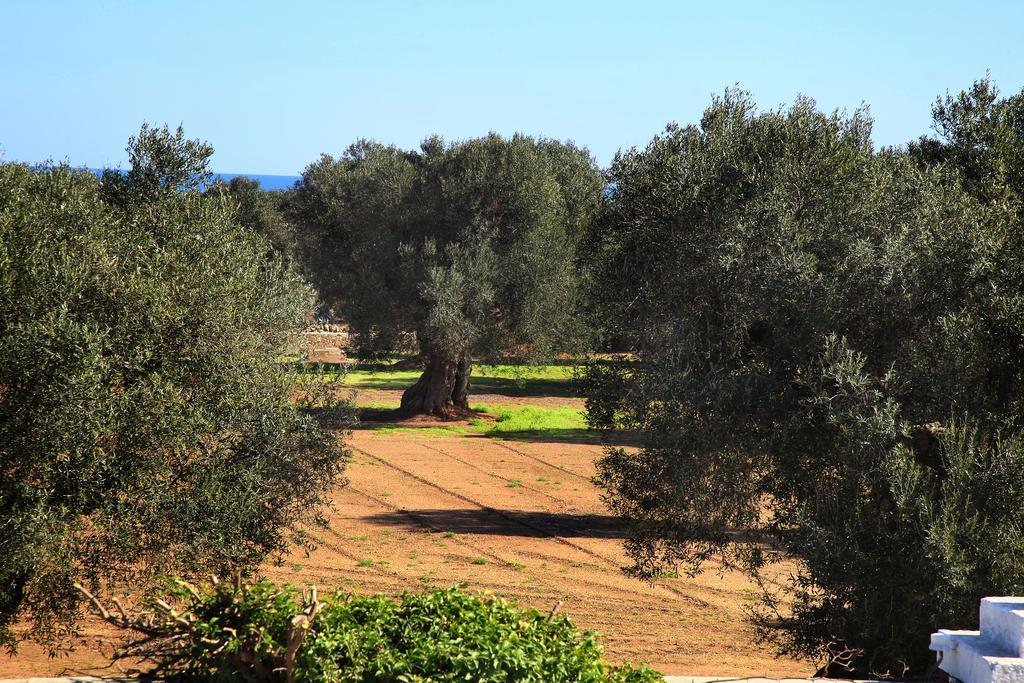 Masseria Pittore Savelletri Exterior foto